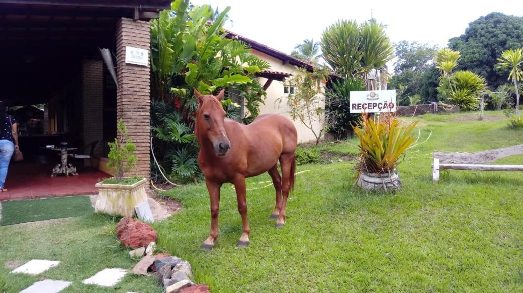 Hotel Fazenda Agua Da Prata Agri Turismo Camacari Ngoại thất bức ảnh