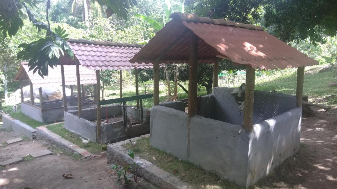 Hotel Fazenda Agua Da Prata Agri Turismo Camacari Ngoại thất bức ảnh